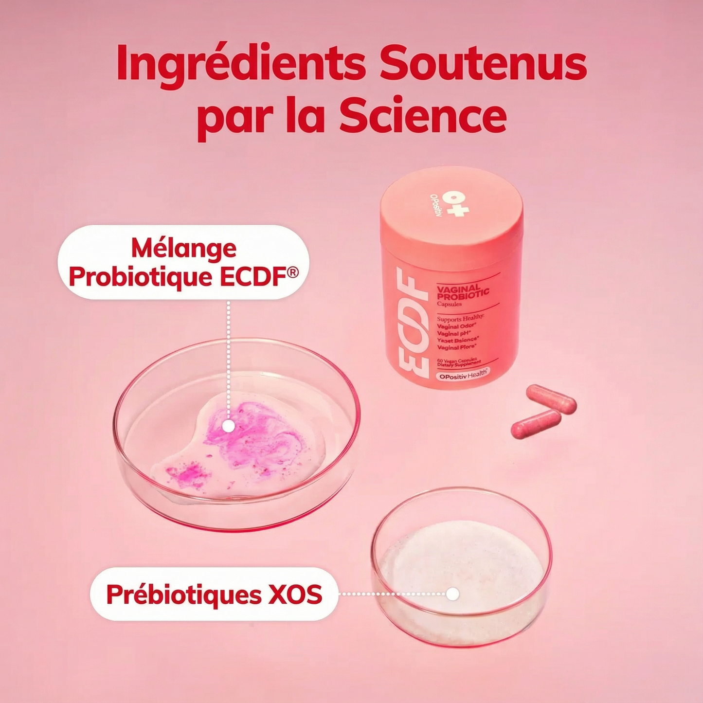 Gélules Probiotiques Vaginaux