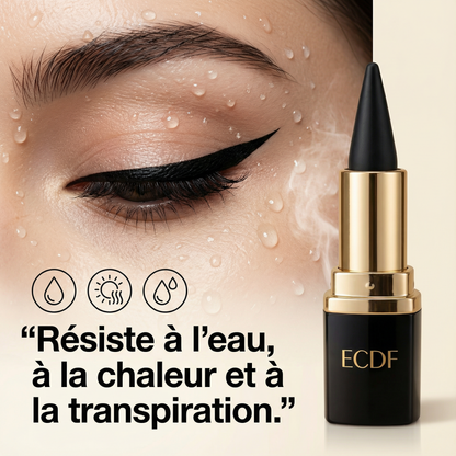 Eyeliner Gel Professionnel